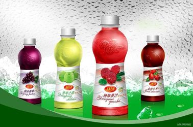 Stainless Steel Juice Bottling Machine PET Bottle Washing Filling Capping Machine SGS